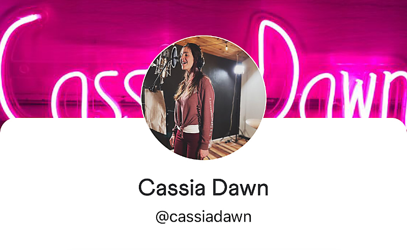 venmo support link, cassia dawn, cassiadawn, giving, artist support, support cassia dawn, music projects, tip jar, artist tip jar, cassia dawn tip jar, cassia dawn tips